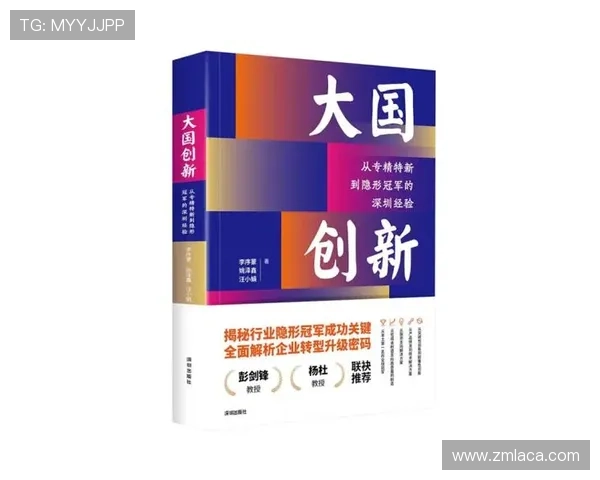 高安企业家创新发展之路:从地方经济到全国市场的战略转型与挑战