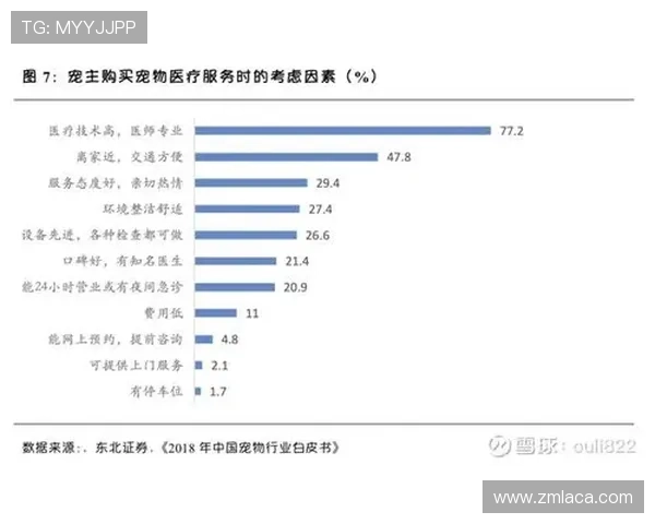 围绕网易电竞平台生态发展的创新战略与未来趋势全景深度研究分析